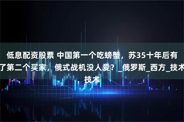 低息配资股票 中国第一个吃螃蟹，苏35十年后有了第二个买家，俄式战机没人爱？_俄罗斯_西方_技术
